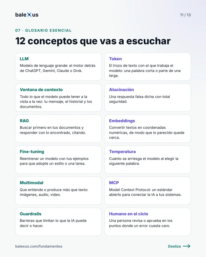 Lámina 11: Glosario esencial